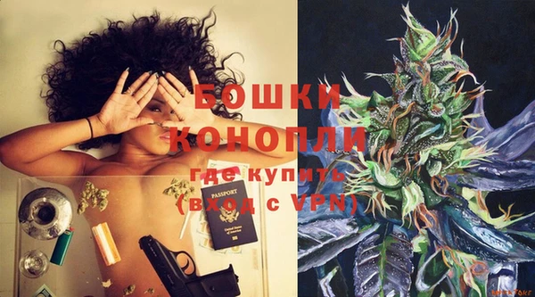 гидра Костерёво