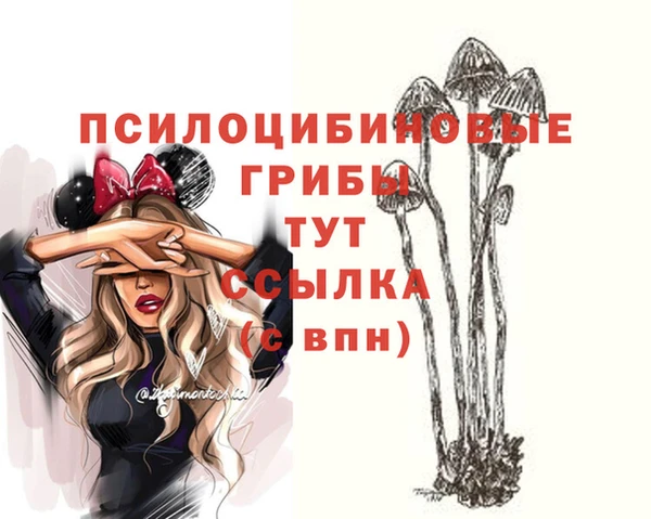 МДМА Коряжма