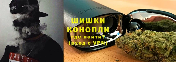 гидра Костерёво