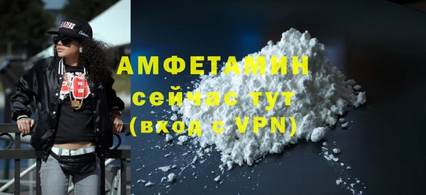 гидра Костерёво